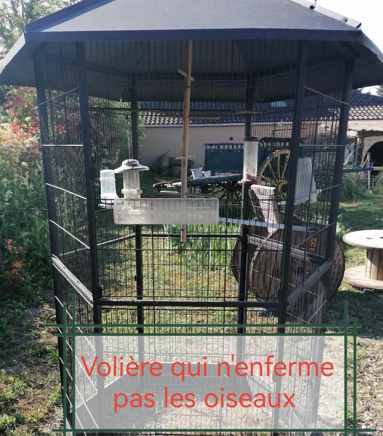 La Fee Viviane Et Michel L'Enchanteur Robion en Luberon Exteriér fotografie