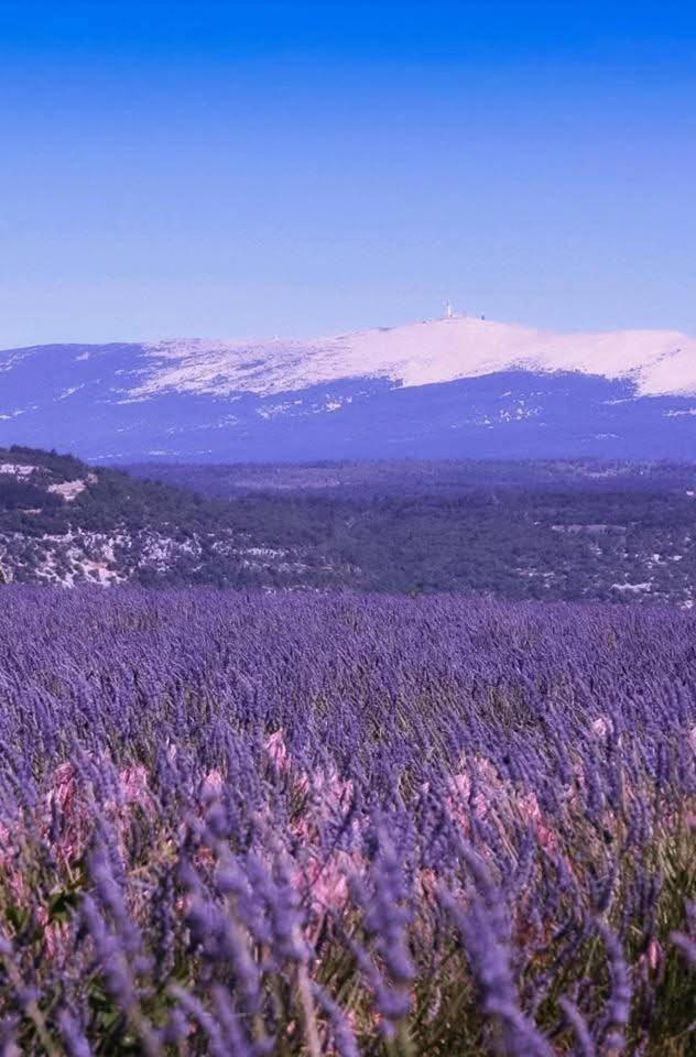 La Fee Viviane Et Michel L'Enchanteur Robion en Luberon Exteriér fotografie