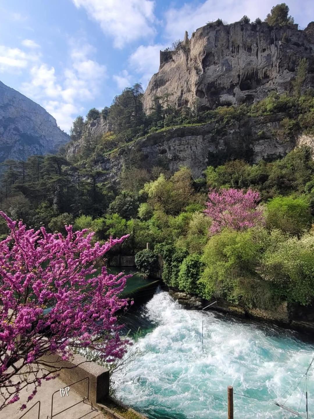 La Fee Viviane Et Michel L'Enchanteur Robion en Luberon Exteriér fotografie
